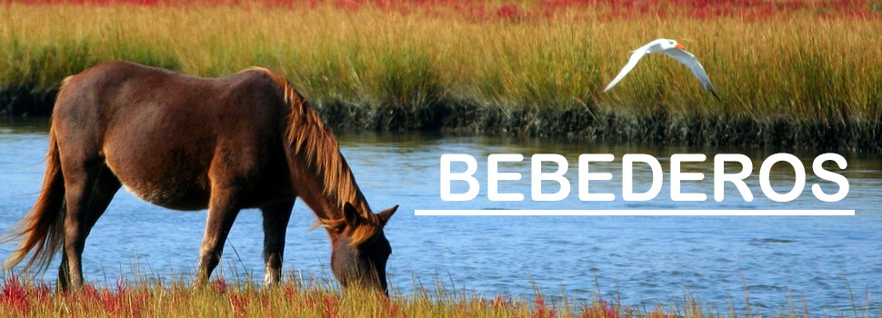 Bebederos para caballos